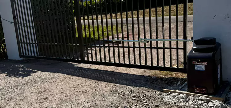 Solar Swing Gate Opener Darien