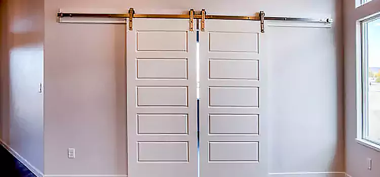 Glass Barn Door with Installation Hardware Kit Darien