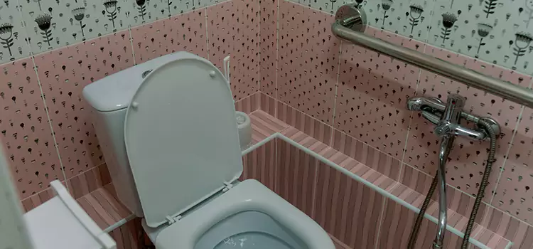Meeting Diverse Needs With Accessible Restroom Solutions in Darien, IL