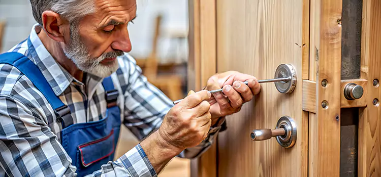 Mortise Replacement Lock Darien