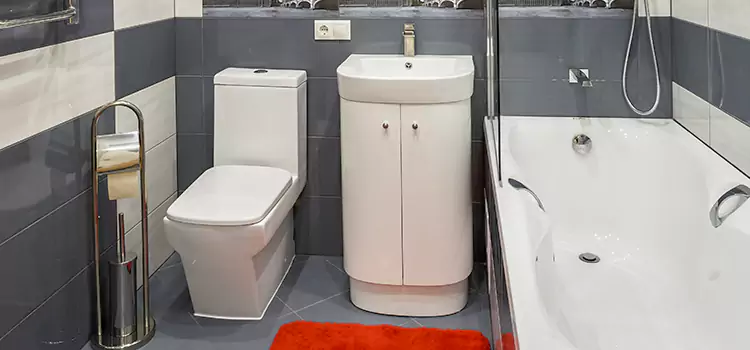 Hansgrohe Shaving Mirror Darien